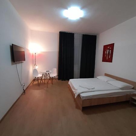 Piata Unirii- 1 Room Studio Apartment Timisoara Ngoại thất bức ảnh