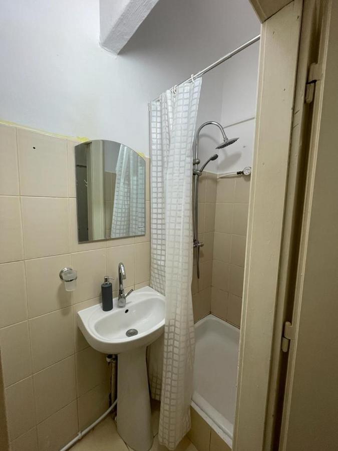 Piata Unirii- 1 Room Studio Apartment Timisoara Ngoại thất bức ảnh