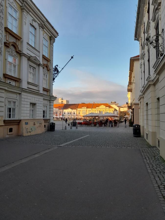 Piata Unirii- 1 Room Studio Apartment Timisoara Ngoại thất bức ảnh