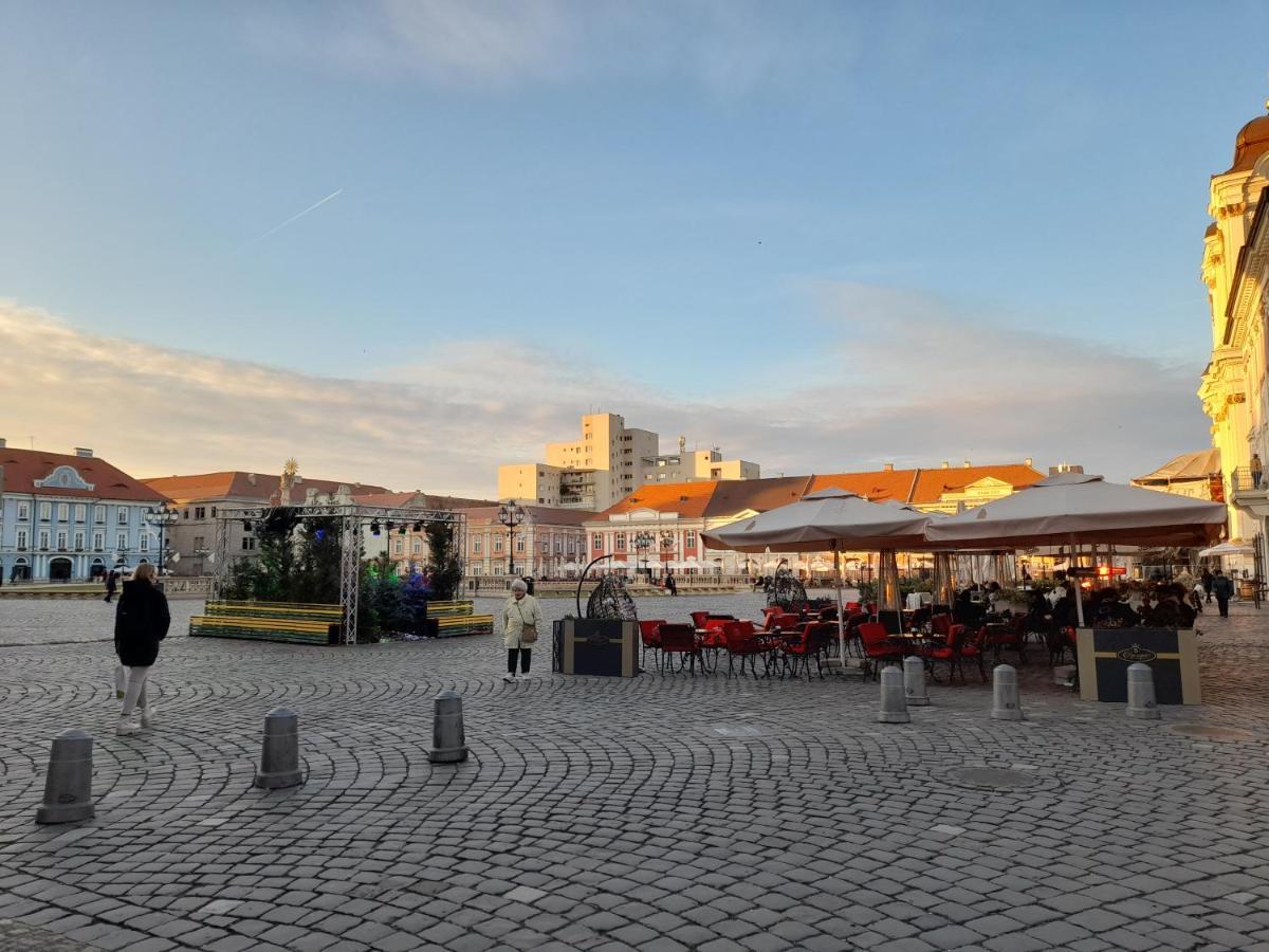 Piata Unirii- 1 Room Studio Apartment Timisoara Ngoại thất bức ảnh