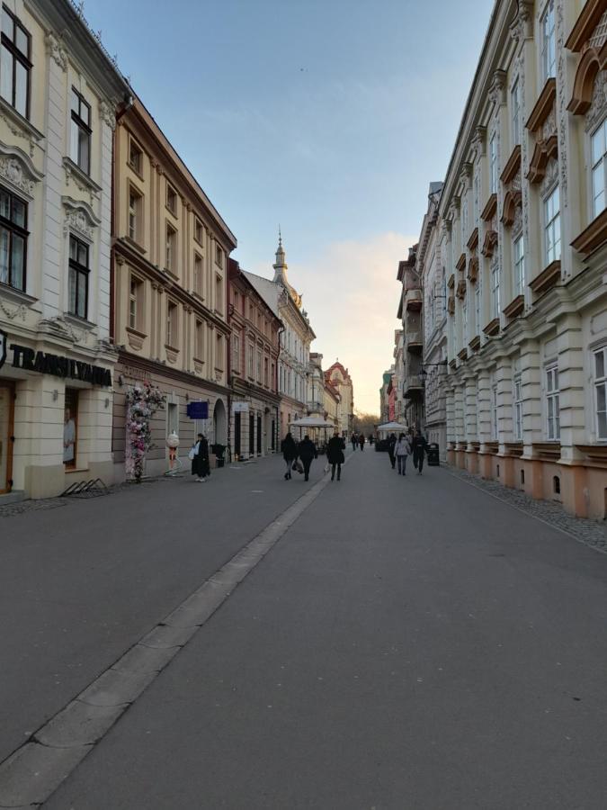 Piata Unirii- 1 Room Studio Apartment Timisoara Ngoại thất bức ảnh