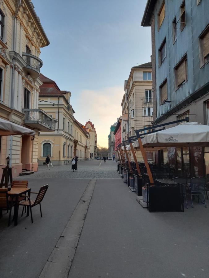 Piata Unirii- 1 Room Studio Apartment Timisoara Ngoại thất bức ảnh