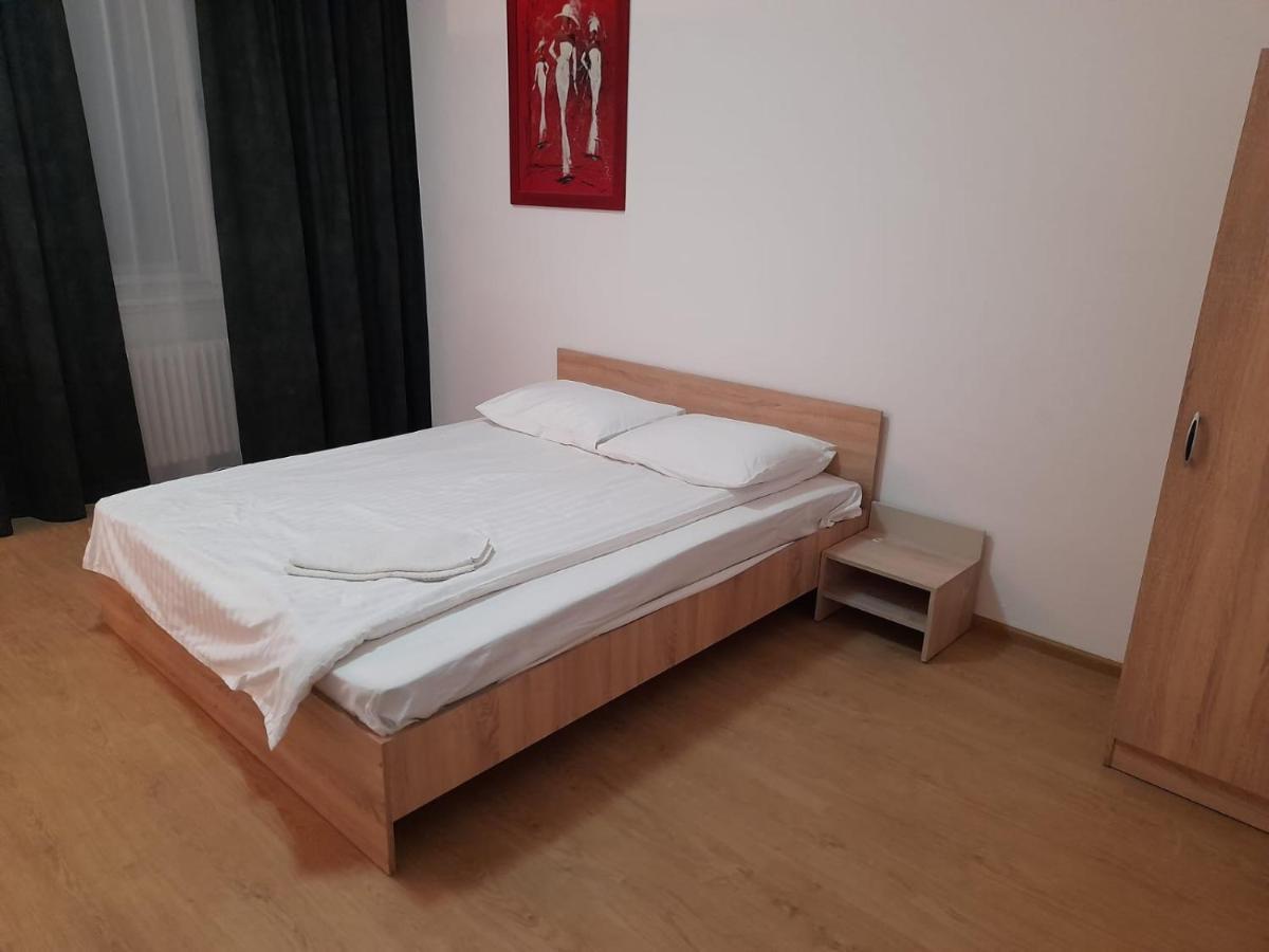 Piata Unirii- 1 Room Studio Apartment Timisoara Ngoại thất bức ảnh