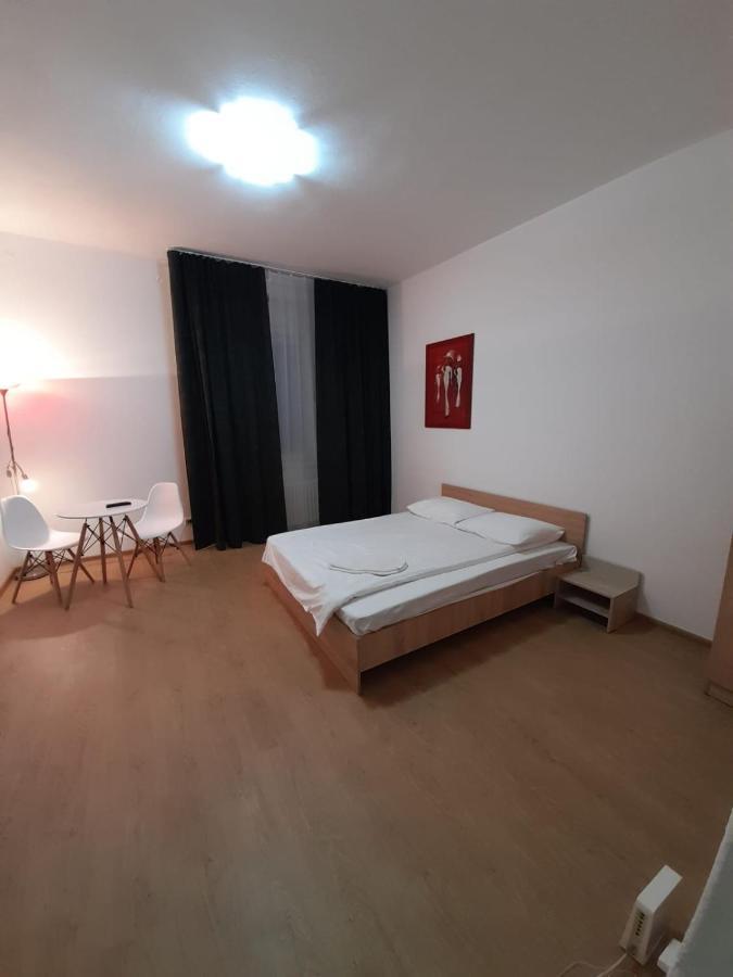Piata Unirii- 1 Room Studio Apartment Timisoara Ngoại thất bức ảnh