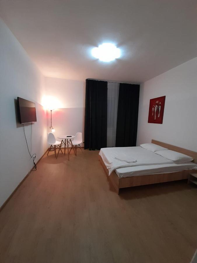Piata Unirii- 1 Room Studio Apartment Timisoara Ngoại thất bức ảnh